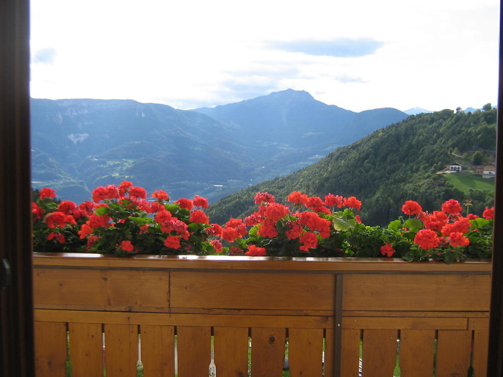 Pitterle Hof Villa Meltina Rum bild