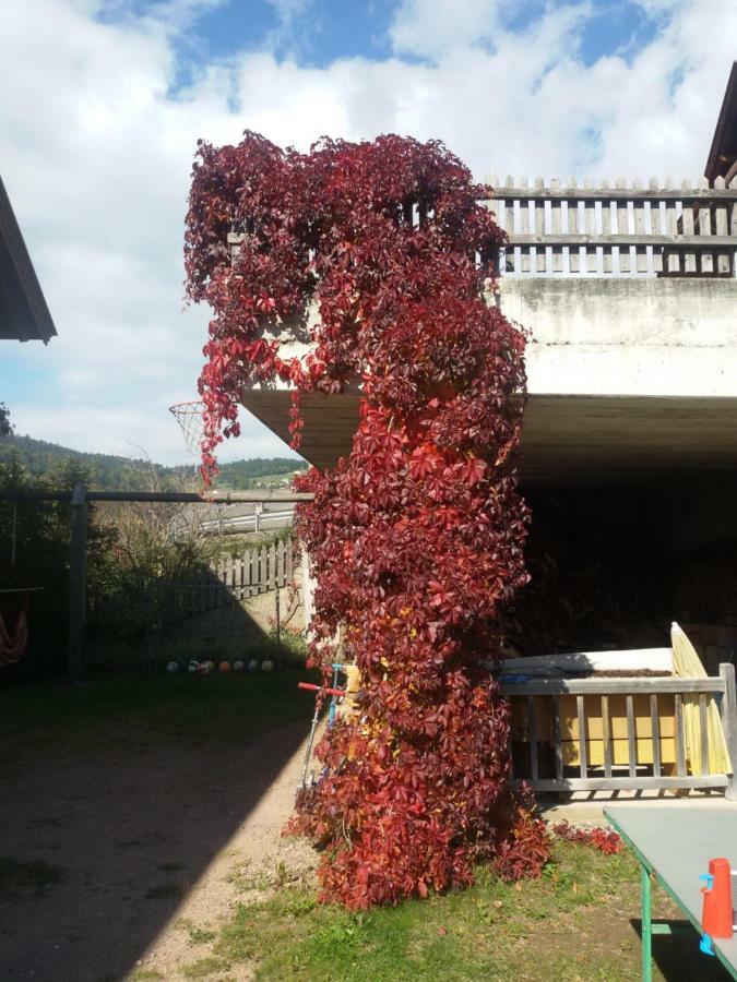 Pitterle Hof Villa Meltina Exteriör bild